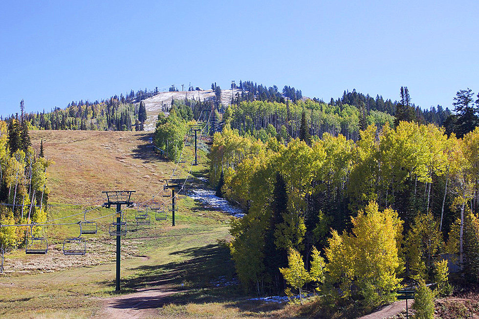 Fall colors on Bald Mountain Deer Valley