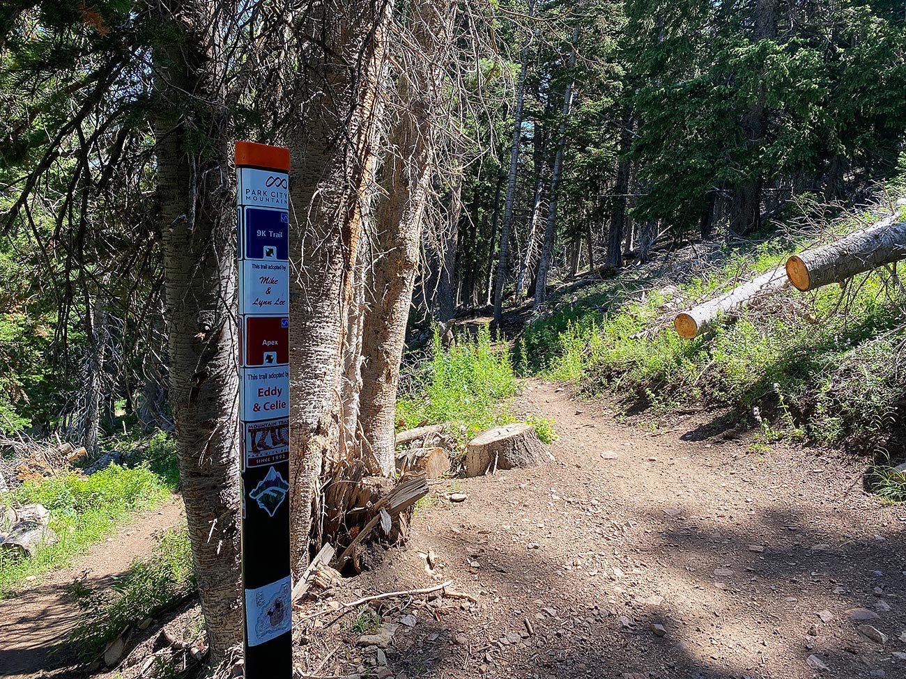 trail maker signs along the charlies 9k trail