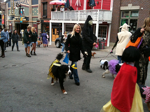 howl-o-ween dog parade main street park city