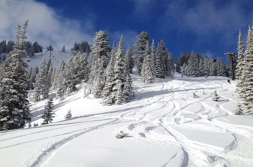 ski tracks in winter powder park city