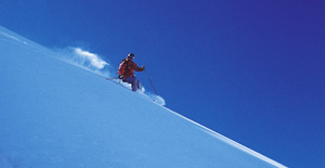 ski-142-300_300